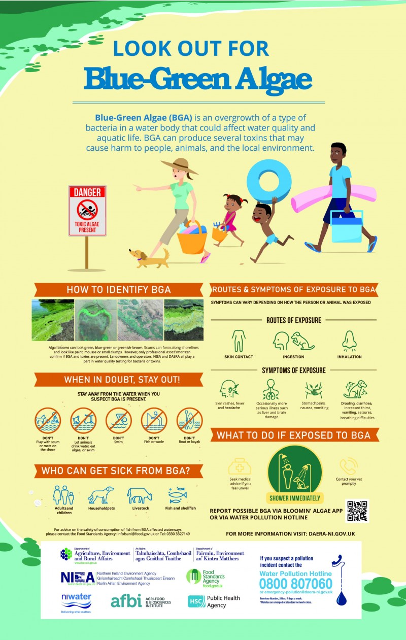Poster explaining how to identify blue-green algae, with visuals showing what algae looks like on a bank. Information provided includes advice on who can get sick from BGA and what to do if you are exposed.