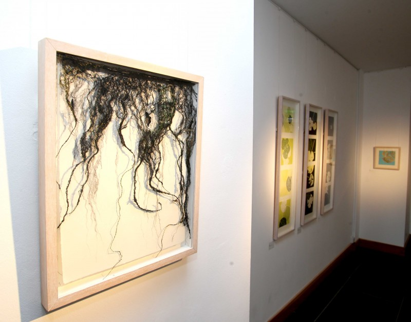 Some of the pieces included in the Marankal exhibition at Roe Valley Arts and Cultural Centre.