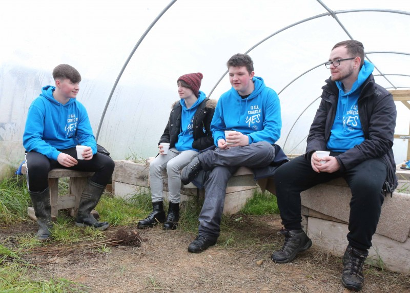 Cormac Cooke, David Futcher, Ethan Keenan and Zac Simpson who took part in the ‘InTREEgration’ project at the Cornfield site