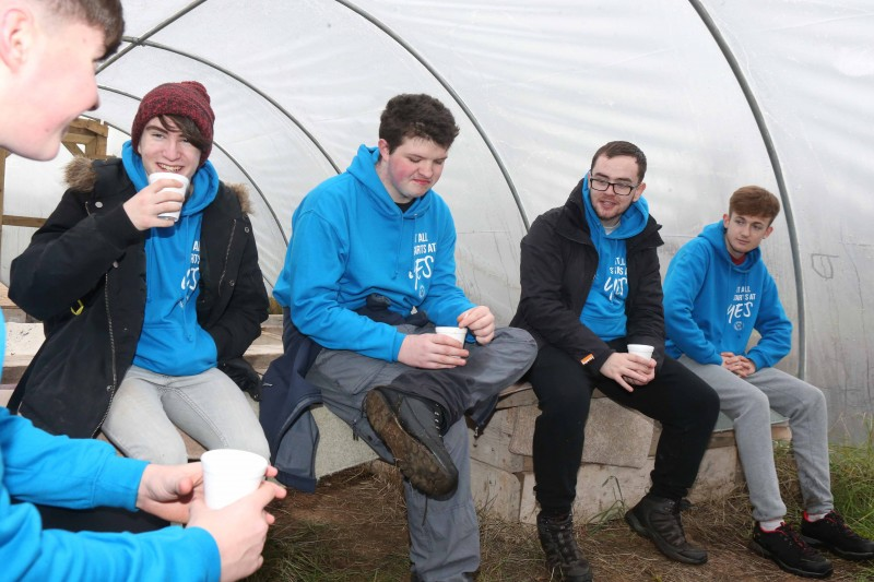 David Futcher, Ethan Keenan, Zac Simpson and Chris Gillespie at the ‘InTREEgration’ project at the Cornfield site.