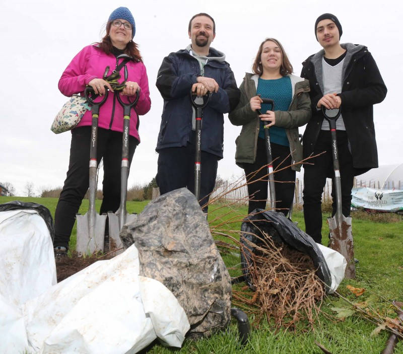 Getting ready to plant some trees at the Cornfield site in Coleraine.