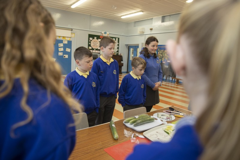 Pupils from Rasharkin Primary School enjoyed an opportunity to meet with the Mayor of Causeway Coast and Glens Borough Council, Councillor Richard Holmes, recently to tell him more about their successful Health Food Choices project.