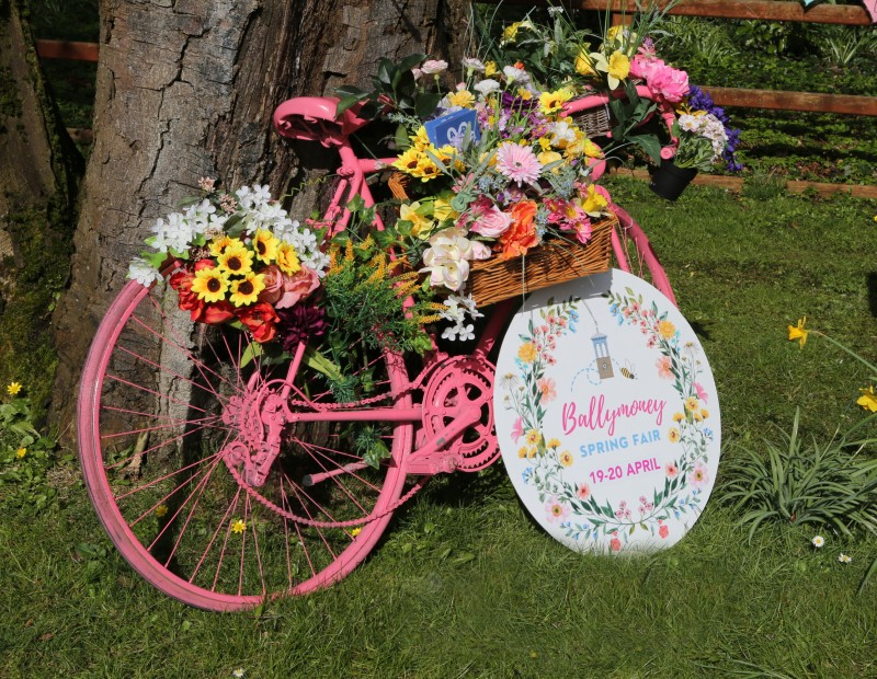 This year’s Ballymoney Spring Fair will see the introduction of Maypole Dancing for the first time.