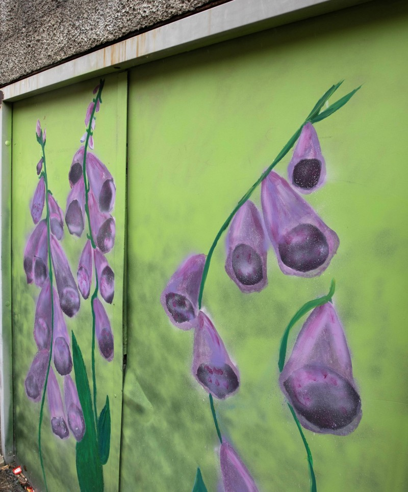 Visitors to Coleraine will see the new street art throughout the town centre.