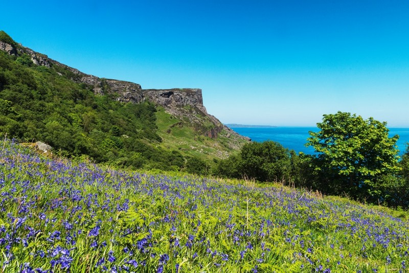 Fair Head from Murlough Bay © Tourism Ireland photographed by Stefan Schnebelt​