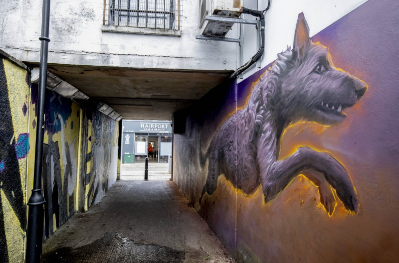Five artworks in Limavady located in the alleyways off Market Street have been completed so far by artists, with two additional designs set to be installed in mid-August.