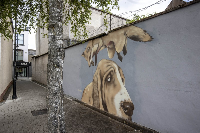 Five artworks in Limavady located in the alleyways off Market Street have been completed so far by artists, with two additional designs set to be installed in mid-August.