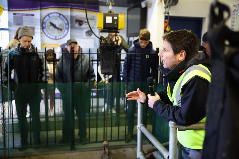 Visitors to Bushmills Salmon and Whiskey Festival were able to enjoy a tour of the Salmon Fishery located in the heart of the village.