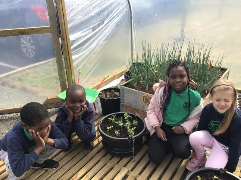 Children from St Malachys Primary School finish the planting for one of their hanging baskets now on display in Coleraine town centre.