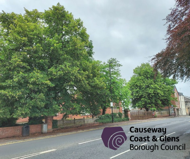 Area of Ballymoney that is subject to a Tree Preservation Order.