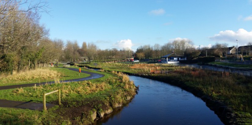 New river wetland