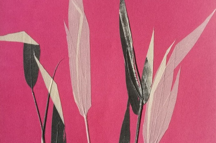 New art exhibition opening in Limavady 