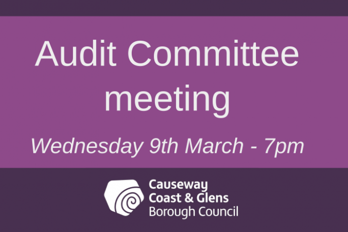 Audit Committee meeting 