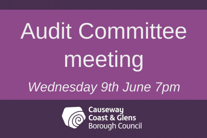Audit Committee meeting 
