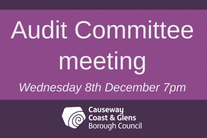 Audit Committee meeting 