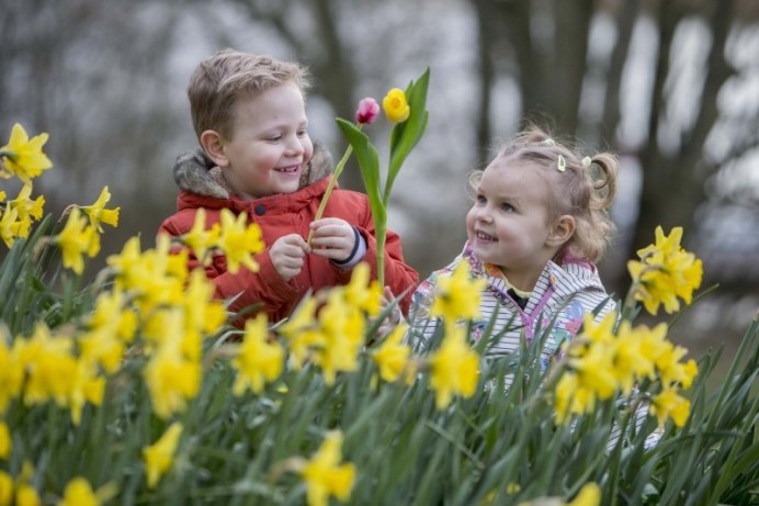 Ballymoney Spring Fair goes virtual with series of showcase short videos