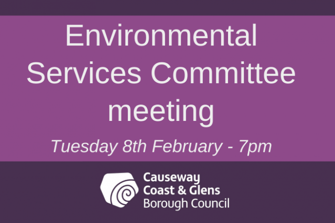 Environmental Services Committee meeting 