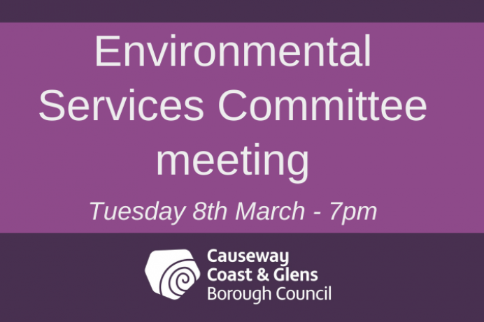 Environmental Services Committee meeting 