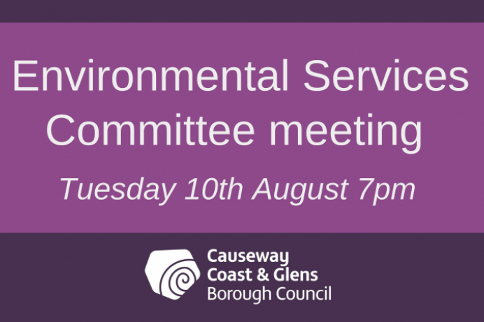 Environmental Services Committee meeting 
