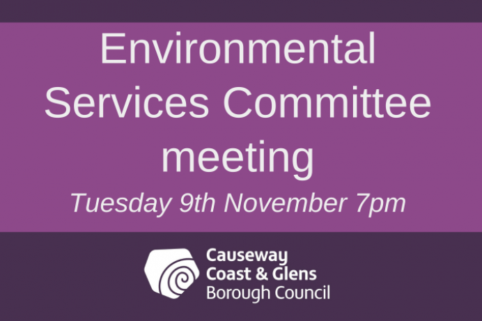 Environmental Services Committee meeting 