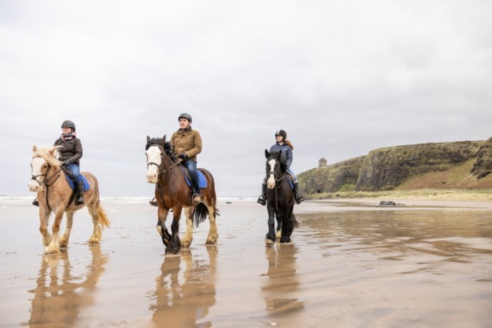 Council issue safety advice for horse riders and dog owners