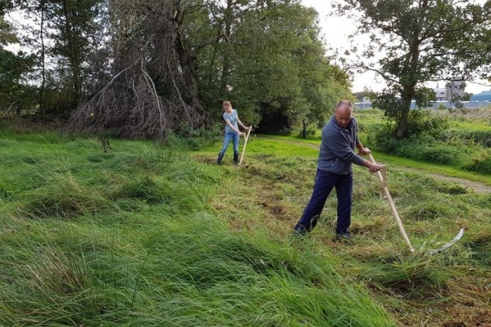 Causeway Coast and Glens Borough Council leads the way in North West pollinator project