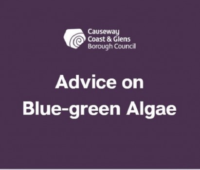 Public Notice Blue-green Algae