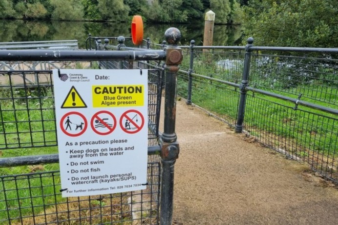 Council urges beach and river users to exercise caution over blue-green algae 