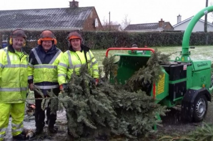 New lease of life for discarded Christmas trees