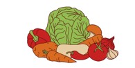 Research by Council and FSA reveals children’s menus need improvement 